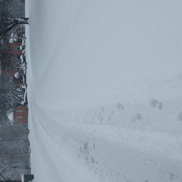 Tennessee Snow ❄️ 1/6/2022 - Picture 2 of 7